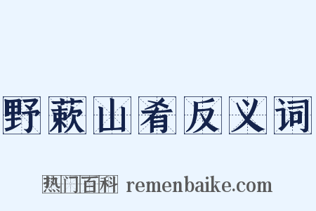 野蔌山肴反义词是什么意思的图片